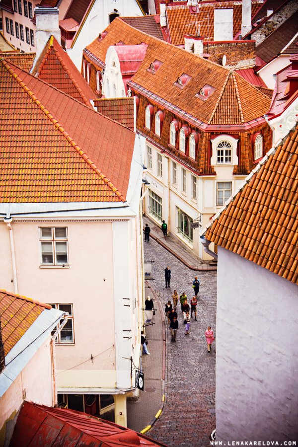 Views from St.Olaf's church in Tallinn
