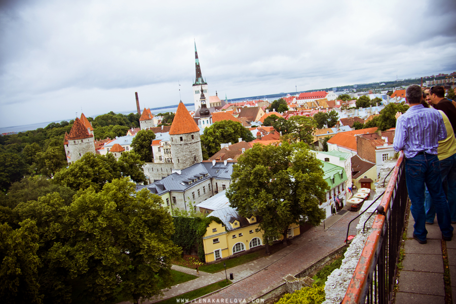 Tallinn viewing point 