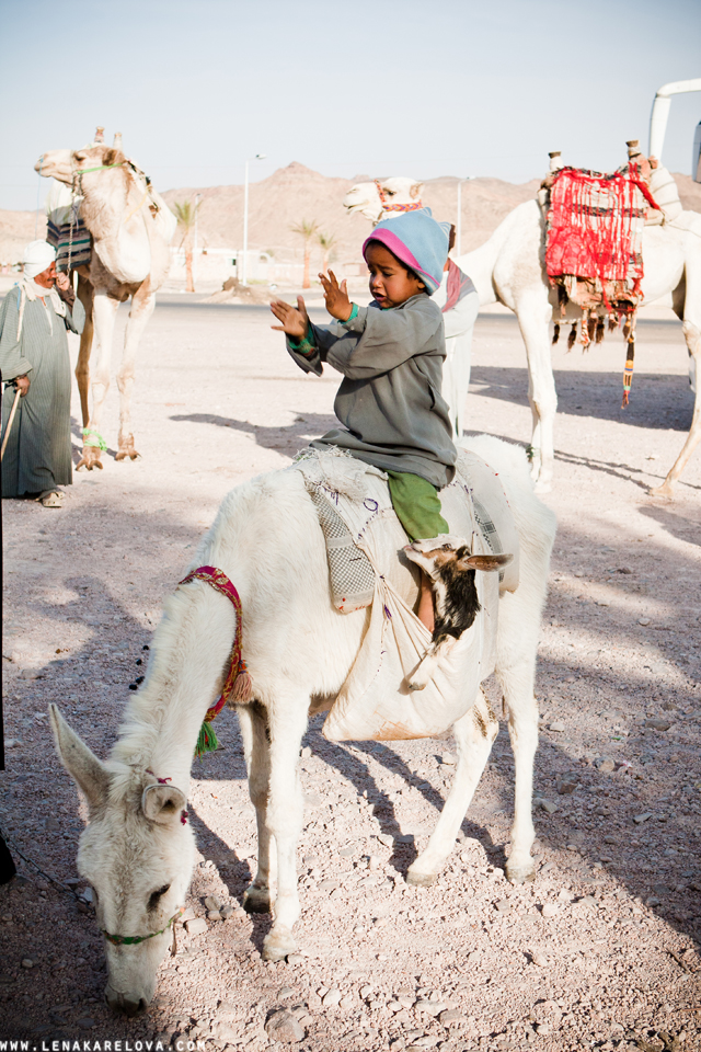 A small family of bedouins at Hurgada by Lena Karelova Photography