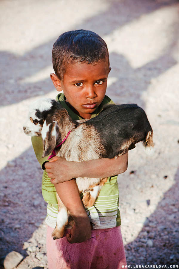Small bedouin on the way from Hurgada to Luxor by Lena Karelova Photographer