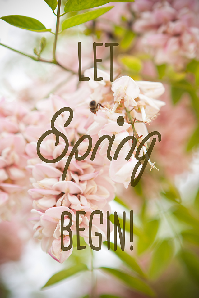 Lets spring begin