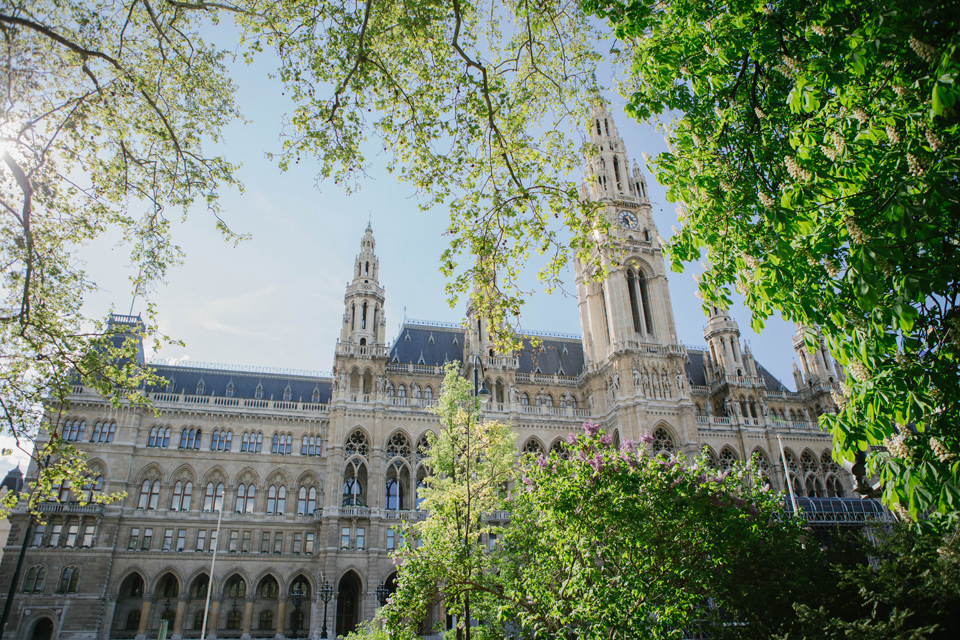 Vienna Rathaus, city center and parks - Lena Karelova wedding photographer in Barcelona and avalaible in Europe